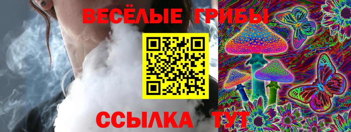 Железногорск  Псилоцибиновые грибы GOLDEN TEACHER  как найти   Вход с VPN 